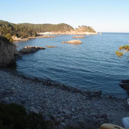 Tent On A Park, Just 2 5 Km From The Fornells (Catalonia)