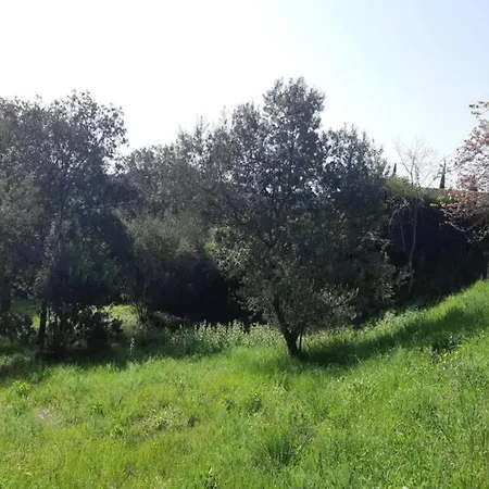 Tent On A Park, Just 2 5 Km From The * Fornells (Catalonia)